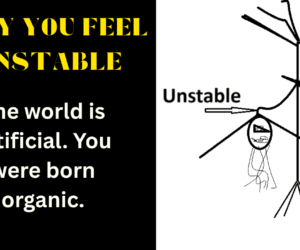 Why You Feel Unstable: (The world is artificial. You were born organic.)
