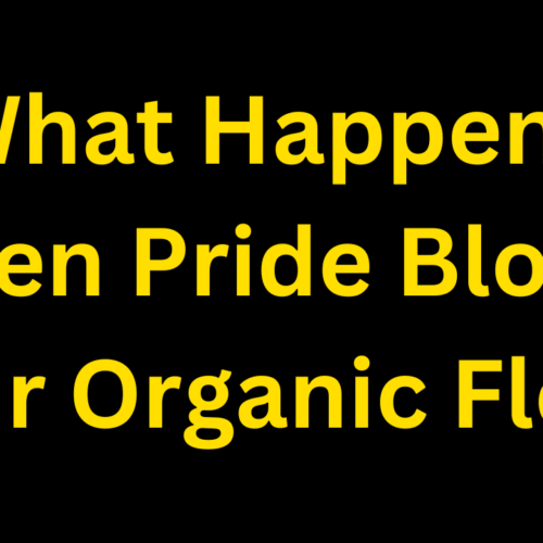 What Happens When Pride Blocks Your Organic Flow?