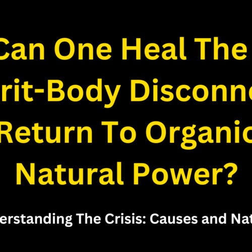 How Can One Heal The Crisis Of Spirit-Body Disconnection And Return To Organic And Natural Power?