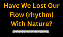 Have We Lost Our Flow (rhythm) With Nature? – (Connection to Natural Rhythms & Environment)