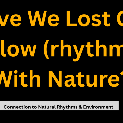 Have We Lost Our Flow (rhythm) With Nature? – (Connection to Natural Rhythms & Environment)