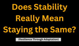 Does Stability Really Mean Staying the Same? (Resilience Through Adaptation)