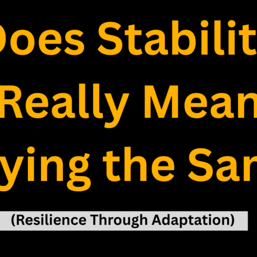 Does Stability Really Mean Staying the Same? (Resilience Through Adaptation)